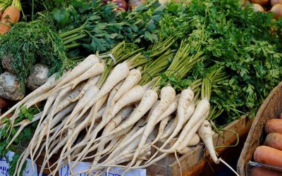 Radice di prezzemolo